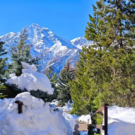 Hostdomus - Sansicario R20